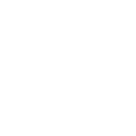Simple emblem with shield shape