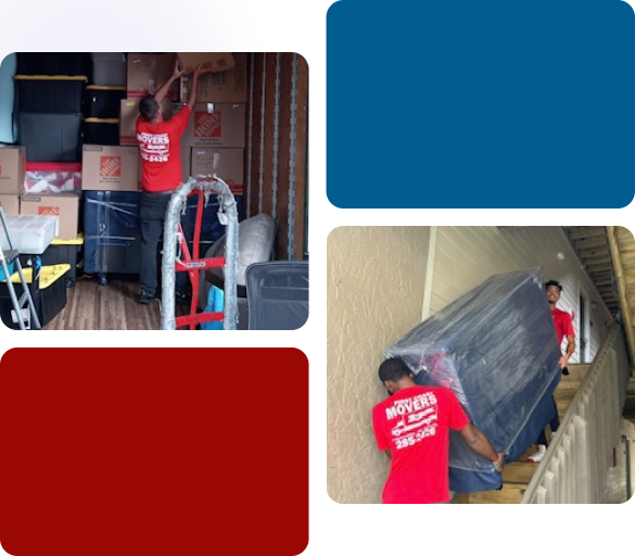Worker carrying a box